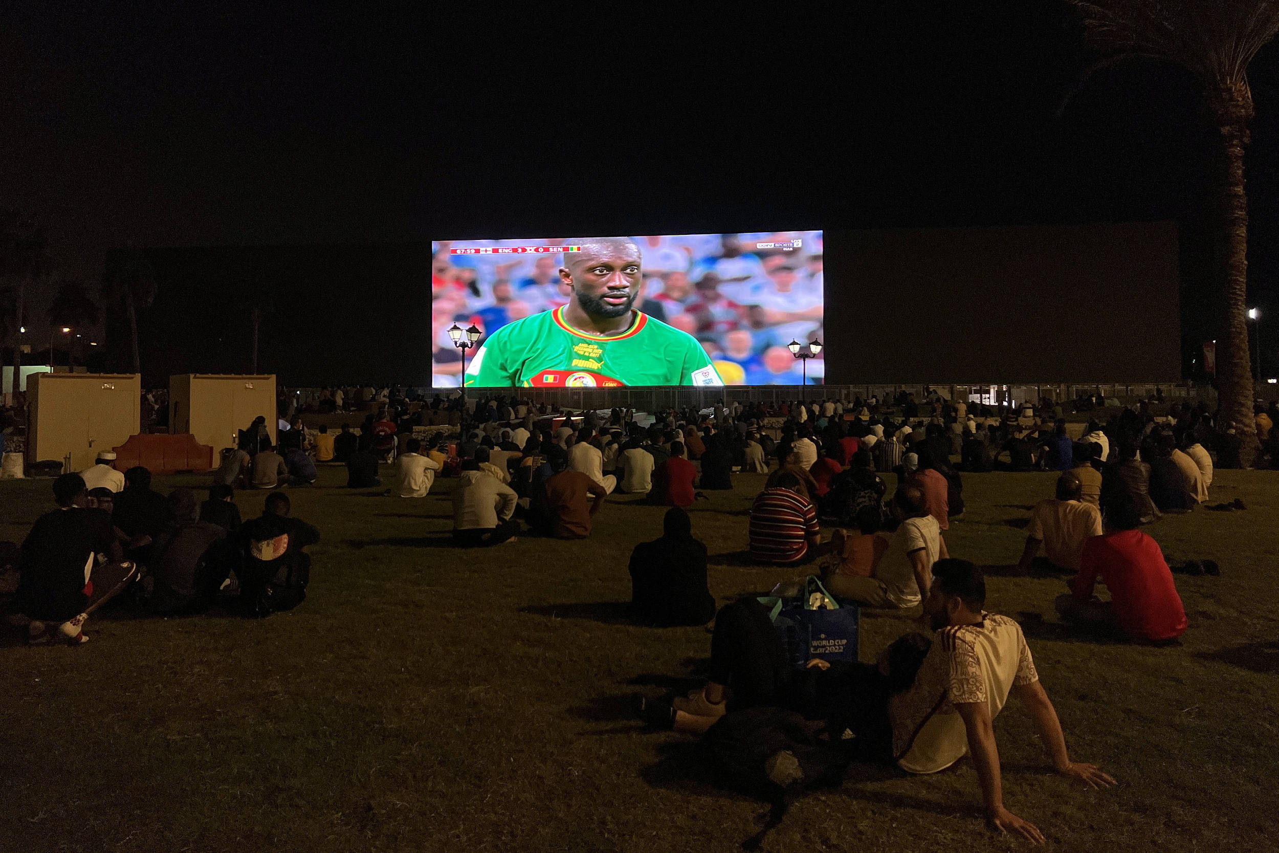 喜欢现场观赛，感受球场氛围的狂热球迷